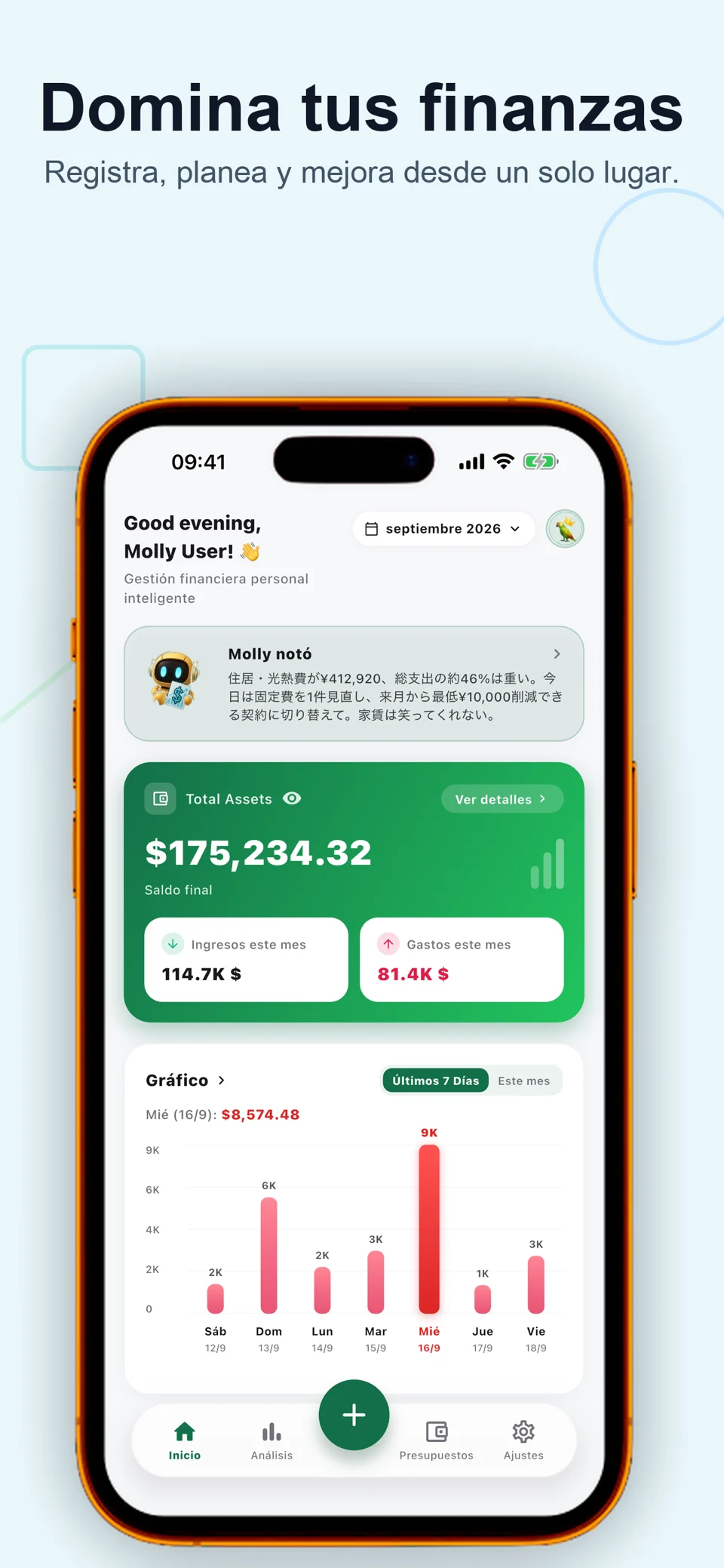 Bolly: Control de Gastos AI — 2