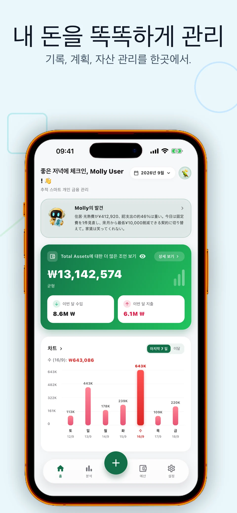 Bolly: AI 가계부 및 지출 관리 — 3