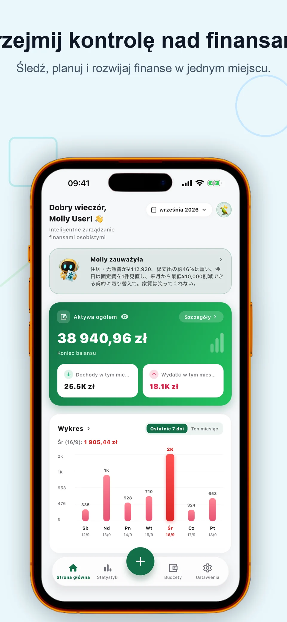 Bolly: Wydatki i Budżet AI — 3